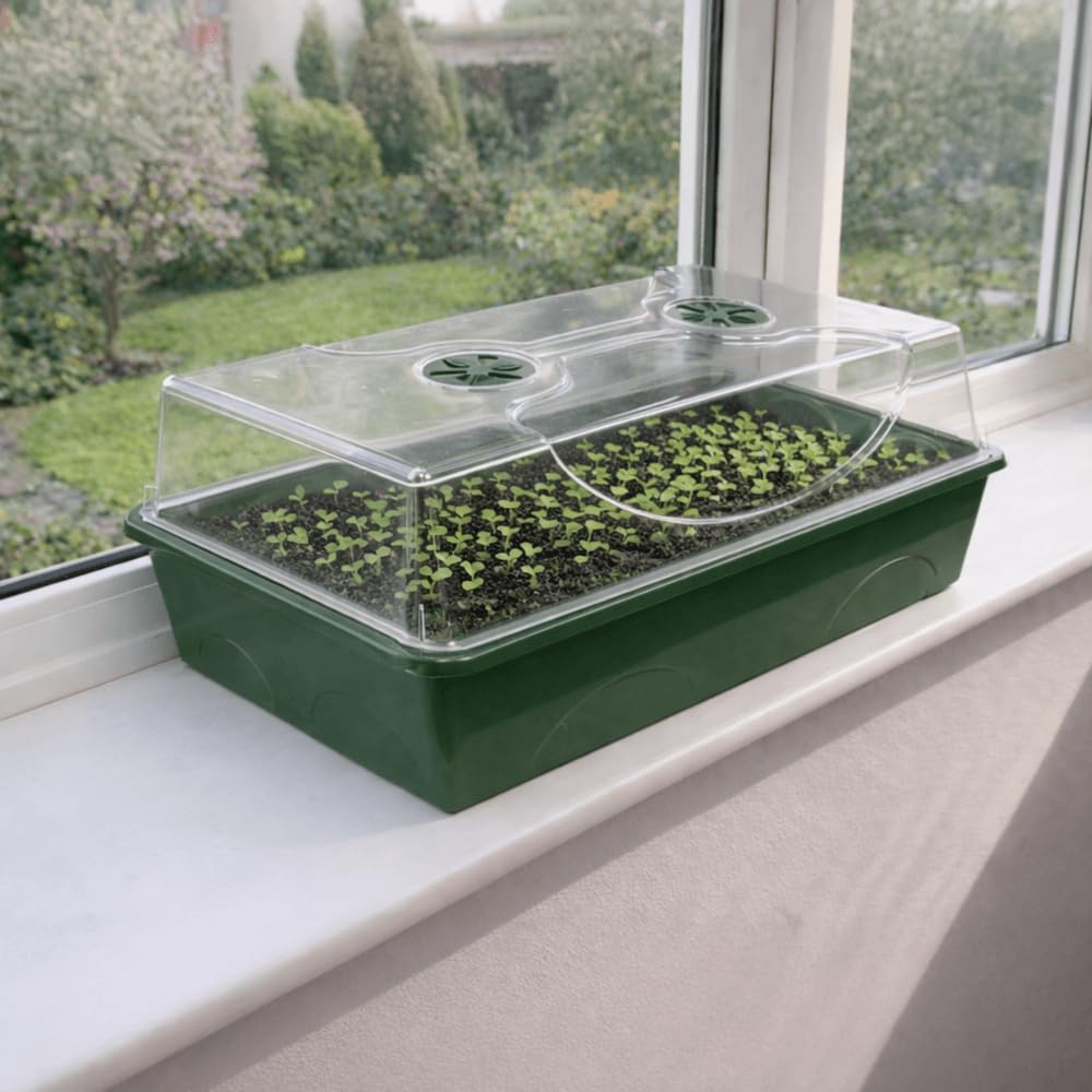 Gardening Naturally Green/Light Propagator Seed Spa With Vented Lid - Medium (19 Cm X 24Cm X 38Cm