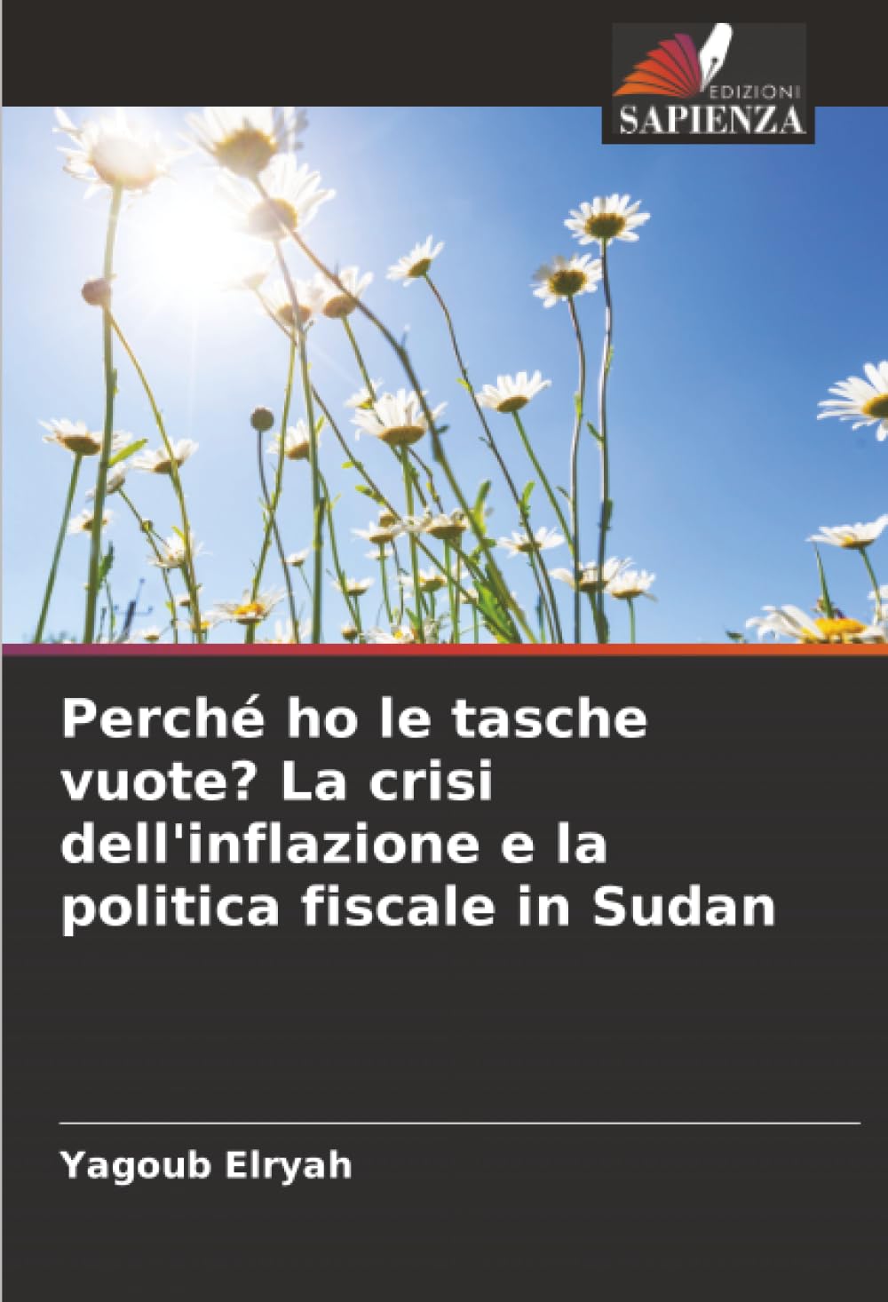 Perché ho le tasche vuote? La crisi dell'inflazione e la politica fiscale in Sudan
