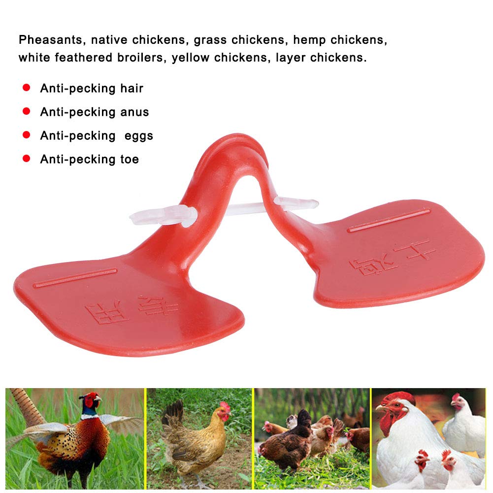 BESPORTBLE 300 Pièces Poulet Avec Des Verres Mirettes De Poulet Fournitures De Ferme De Poulet Poulets Volaille Œillères Poulet Anti-combat Coq Rouge Anti-picorage Étui à Lunettes Plastique BESPORTBLE 300 Pièces Poulet Avec Des Verres Mirettes De Poulet Fournitures De Ferme De Poulet Poulets Volaille Œillères Poulet Anti-combat Coq Rouge Anti-picorage Étui à Lunettes Plastique
