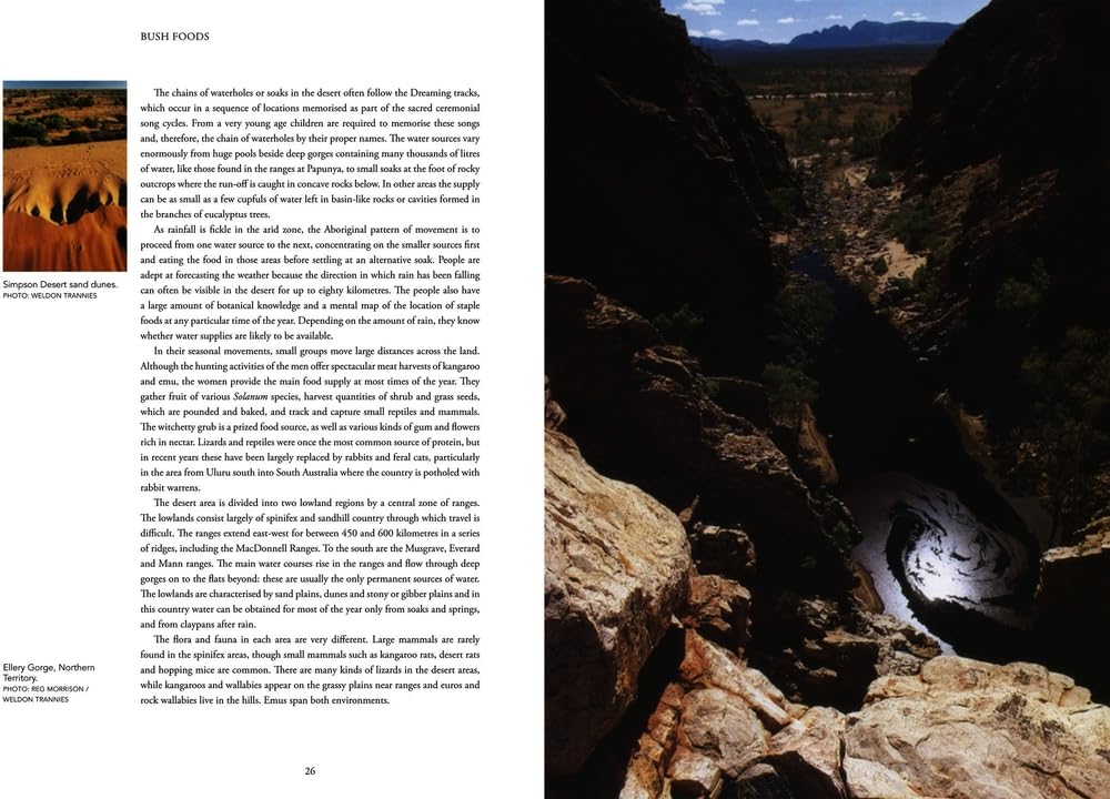 Bush Food: Aboriginal Food and Herbal Medicine