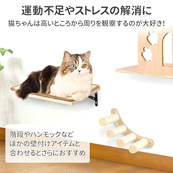なまま　猫ちゃんステップ Amazon.co.jp: iimono117 猫 壁付け ステップ 一段 40cm×25cm