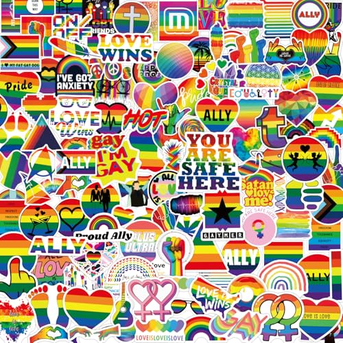 315PCS Pride Stickers Bulk Rainbow Sticker Packs for LGBTQ Gay Pride Stuff Accessories Celebration Parades Home Decor Party Supplies Festivals