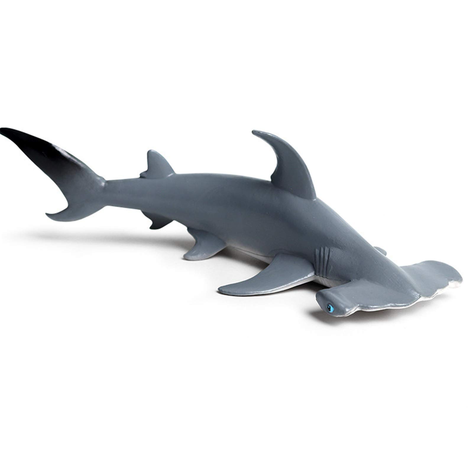 Amazon | Eden Toys シュモクザメ サメ メジロザメ目 海洋動物