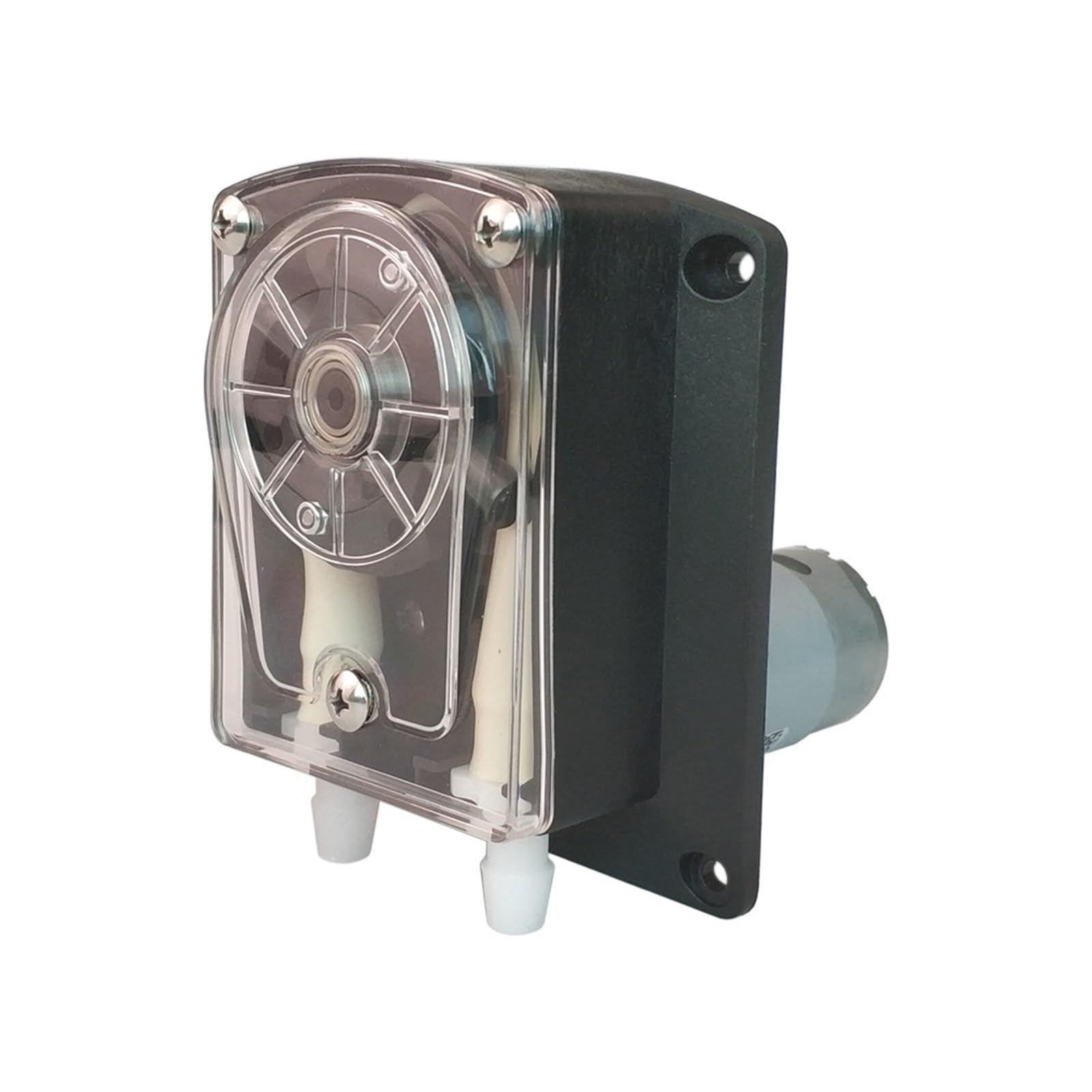Pompa peristaltica dosatrice 12 V 24 V, alta portata per acquario, laboratorio analitico (tubo in silicone, 24 V)