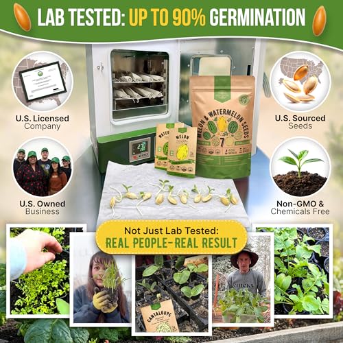 Organo Republic 7 Melon & Watermelon Seeds Variety Pack 480+ Non-GMO Heirloom Fruit Seeds for Planting Fruits in Individual Seed Packets, Home Garden Seeds for Hydroponic, Indoor & Outdoors Gardening by Organo Republic - Used condition - Image 2