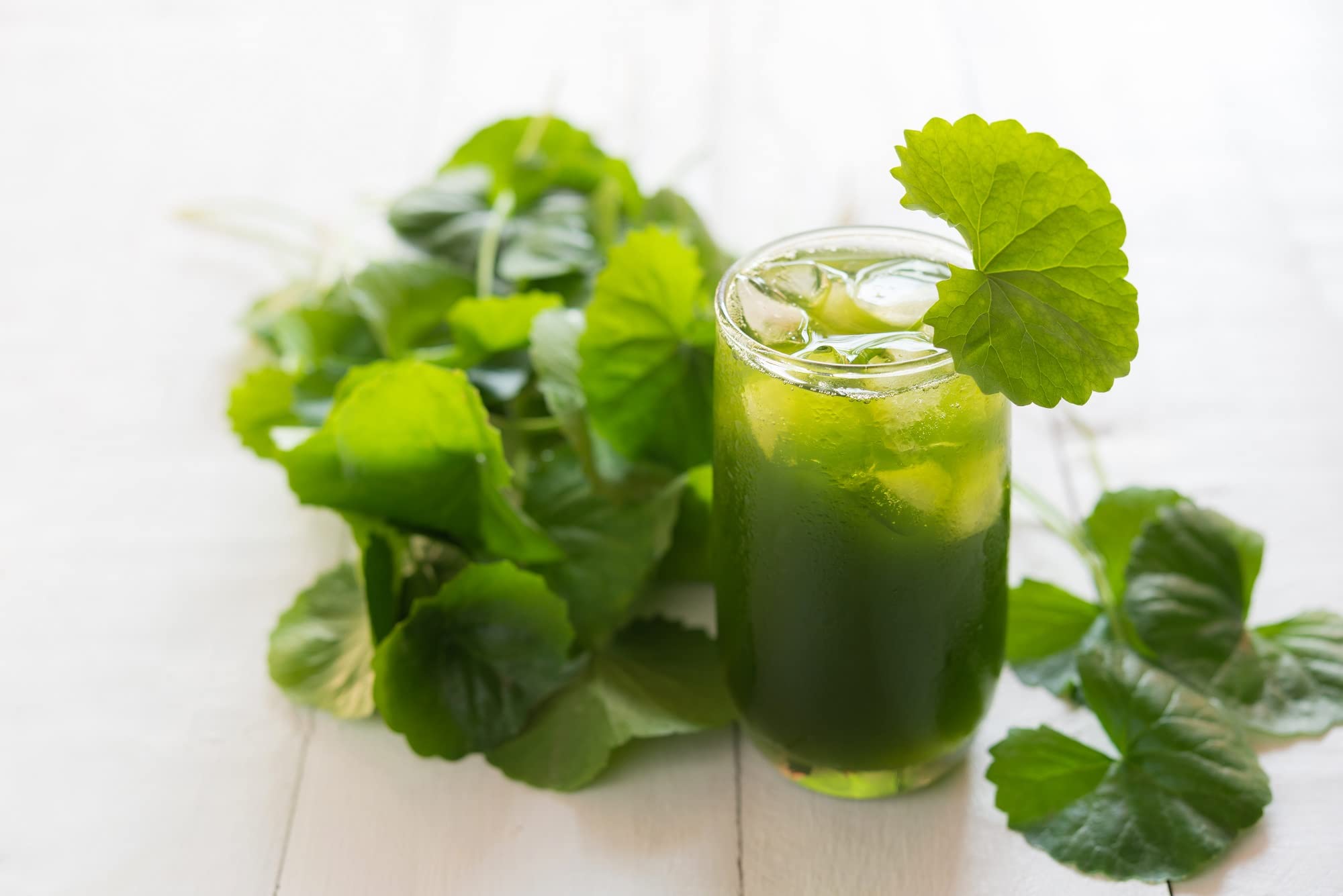 Mynatura Bio Gotu Kola Pulver | Gotu Kola | ayurvedisch | Vegan | Konzentration (3x300g)