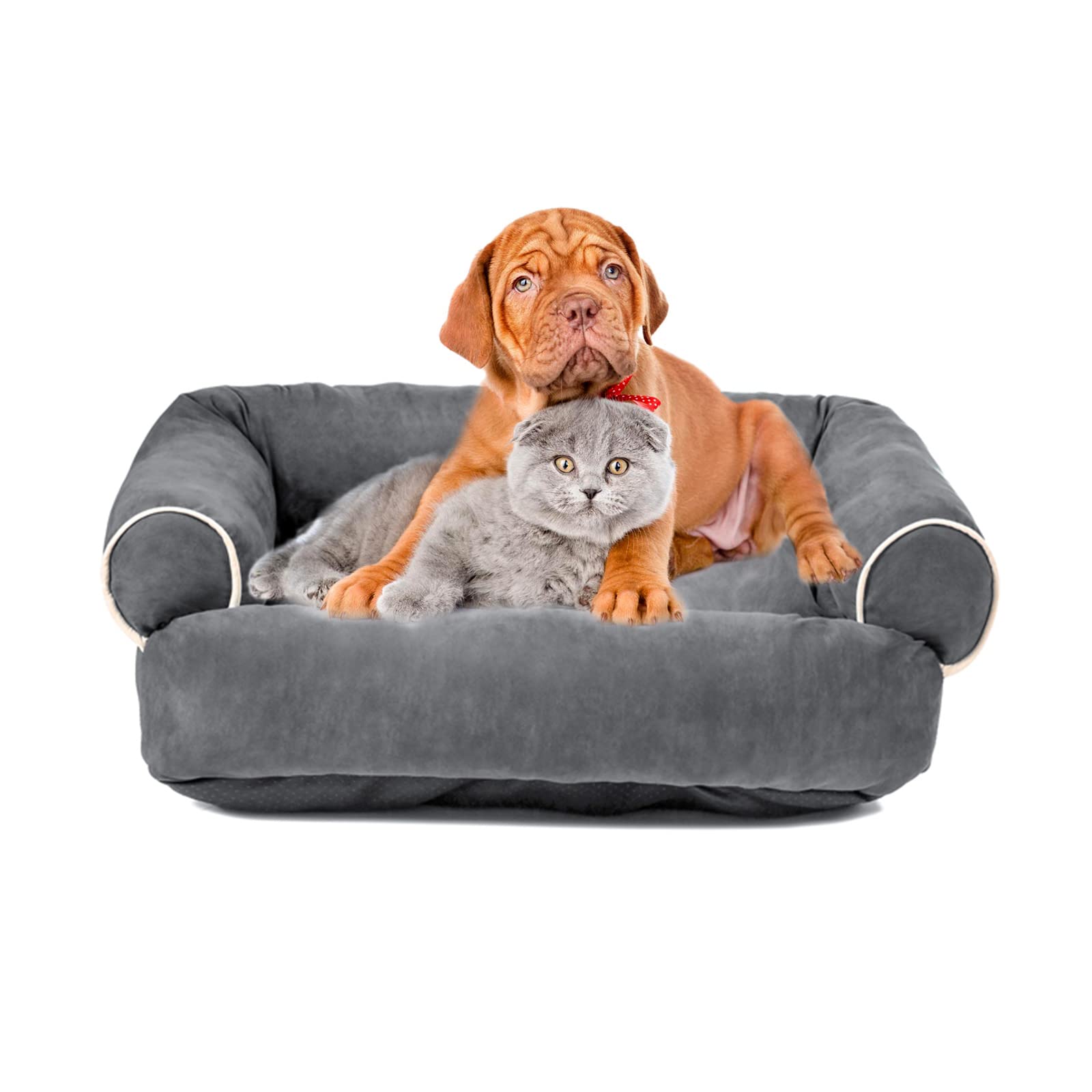 PETCUTE Ortopédica Cama Gato y Perros Pequeños,Lavable Cama para Mascotas de Espuma Viscoelástica,Super Cómoda Sofá Cama para Perros y Gatos con Fondo Antideslizante,Cama Perros Cojín Perros