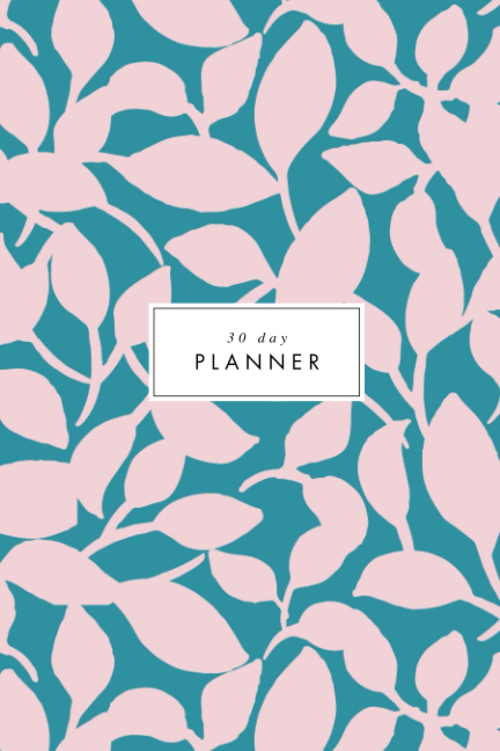 30 Day Planner: Abstract botanical illustration cover. Undated monthly agenda with goal setting and focus exercises