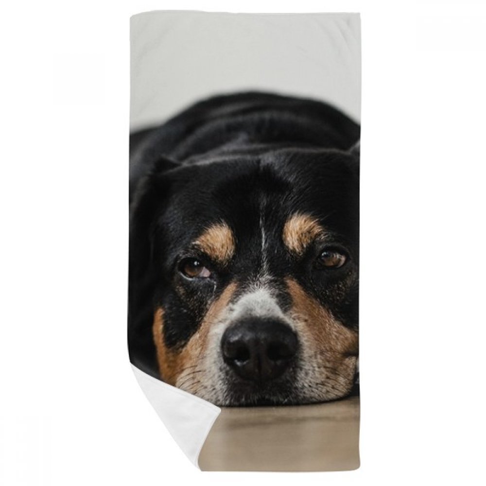 Serviette de bain gant de toilette doux motif chien animal 35x70cm