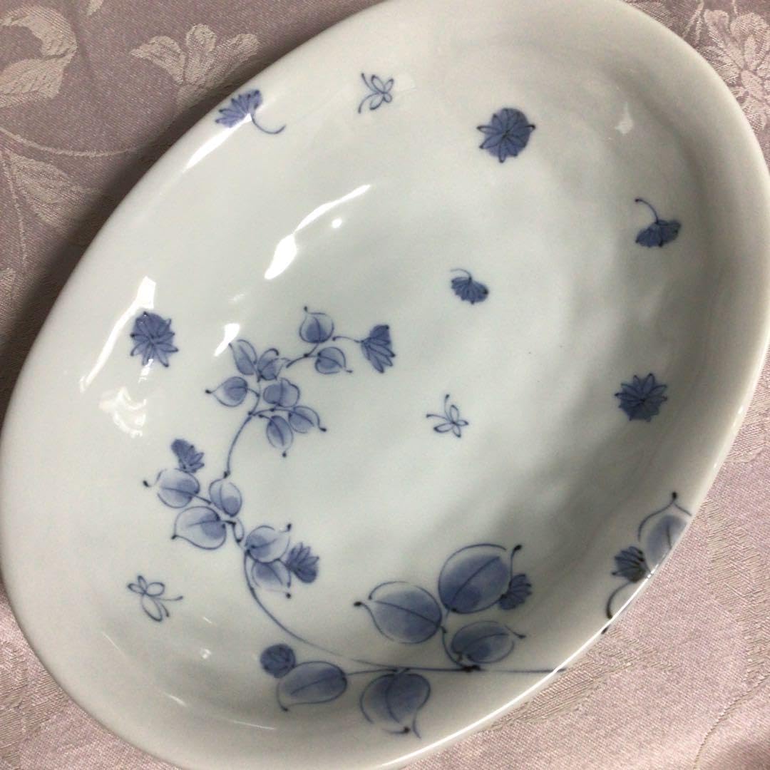 Amazon.co.jp: 有田焼 清秀 パスタ皿 カレー皿 中皿 楕円 2枚 : おもちゃ