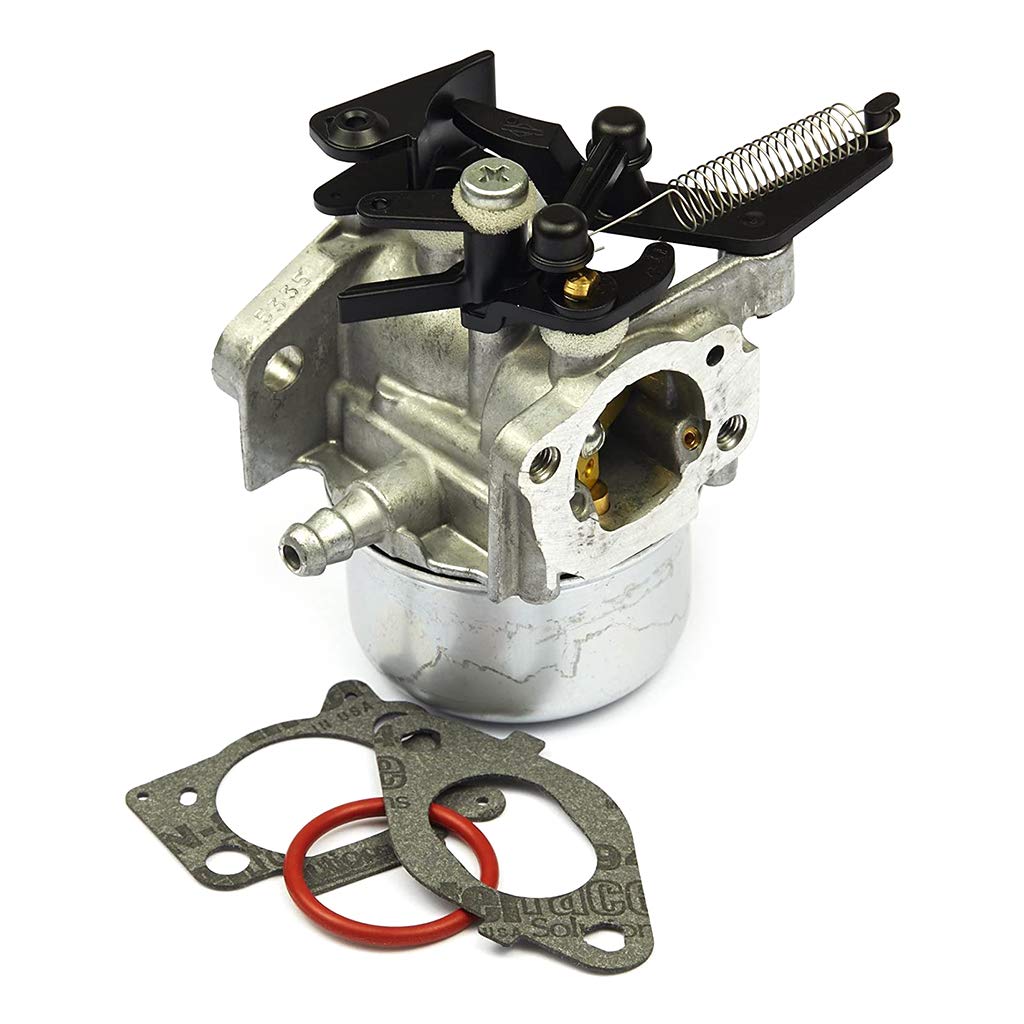796608 Carburateur Carb pour Briggs Stratton 591137 590948 Moteurs 111000