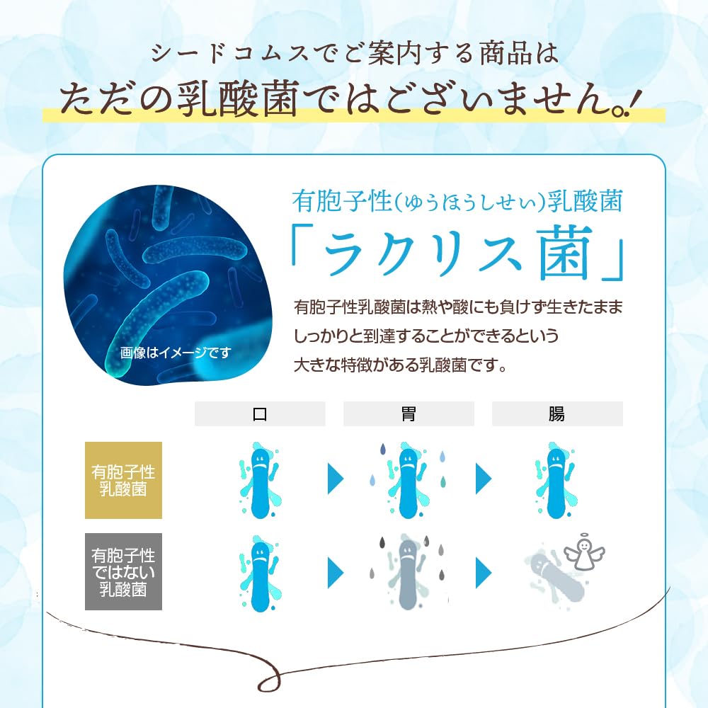 Amazon.co.jp: シードコムス 有胞子性 乳酸菌 サプリメント 約3月分 90