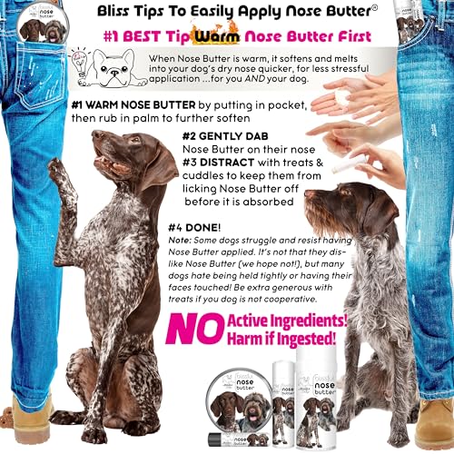Image of The Blissful Dog German Shorthaired Pointer Unscented Nose Butter