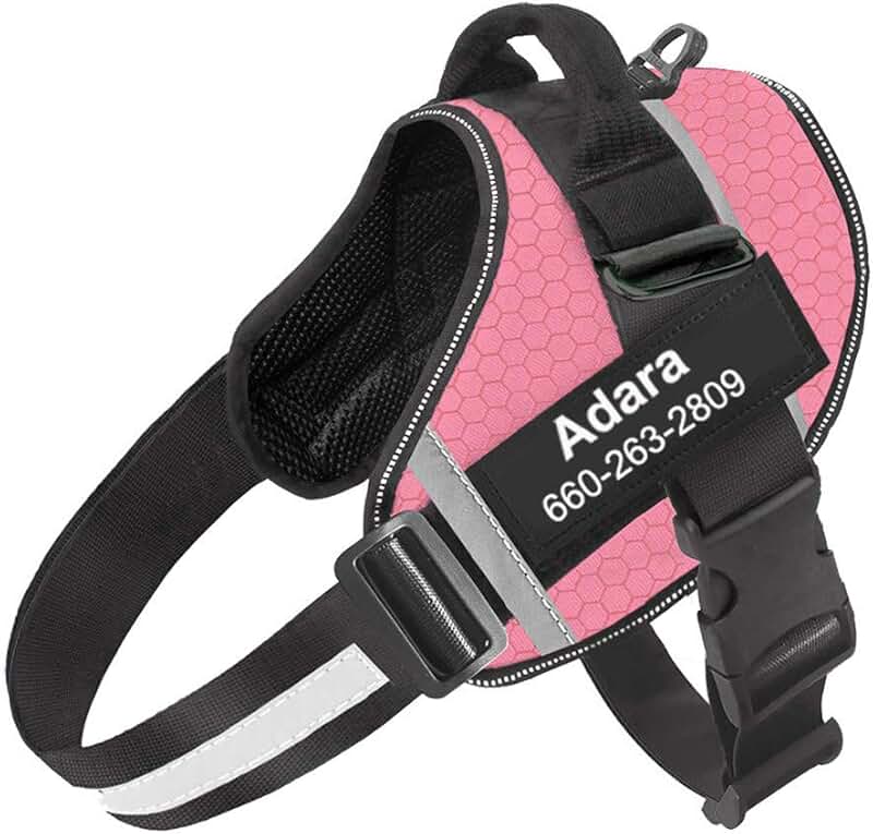 true harness for dogs