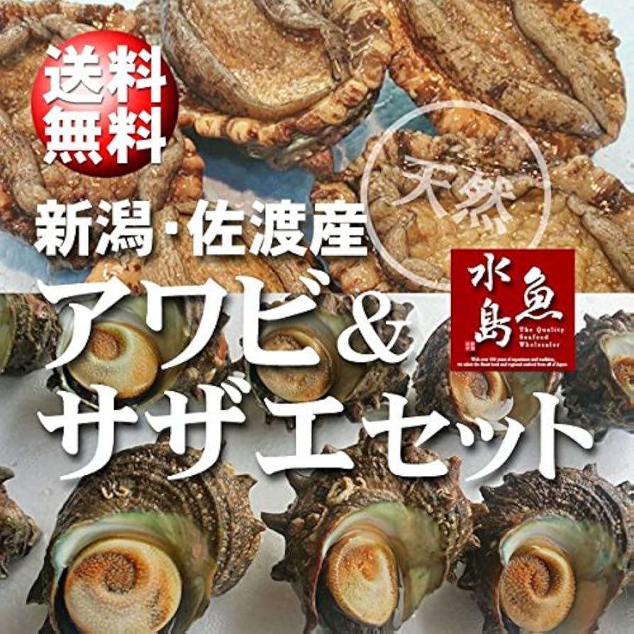 Amazon.co.jp: 魚水島 「あわび&さざえセット」 新潟産 天然 活