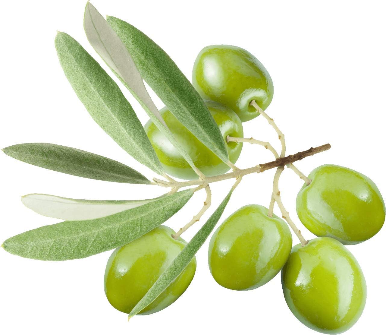 Organic Olive Oil Soap, Castile Liquid Soap, Facial Cleaning, Antibacterial Soap, Handwash Liquid Soap, Cleansing Gel - Image 3