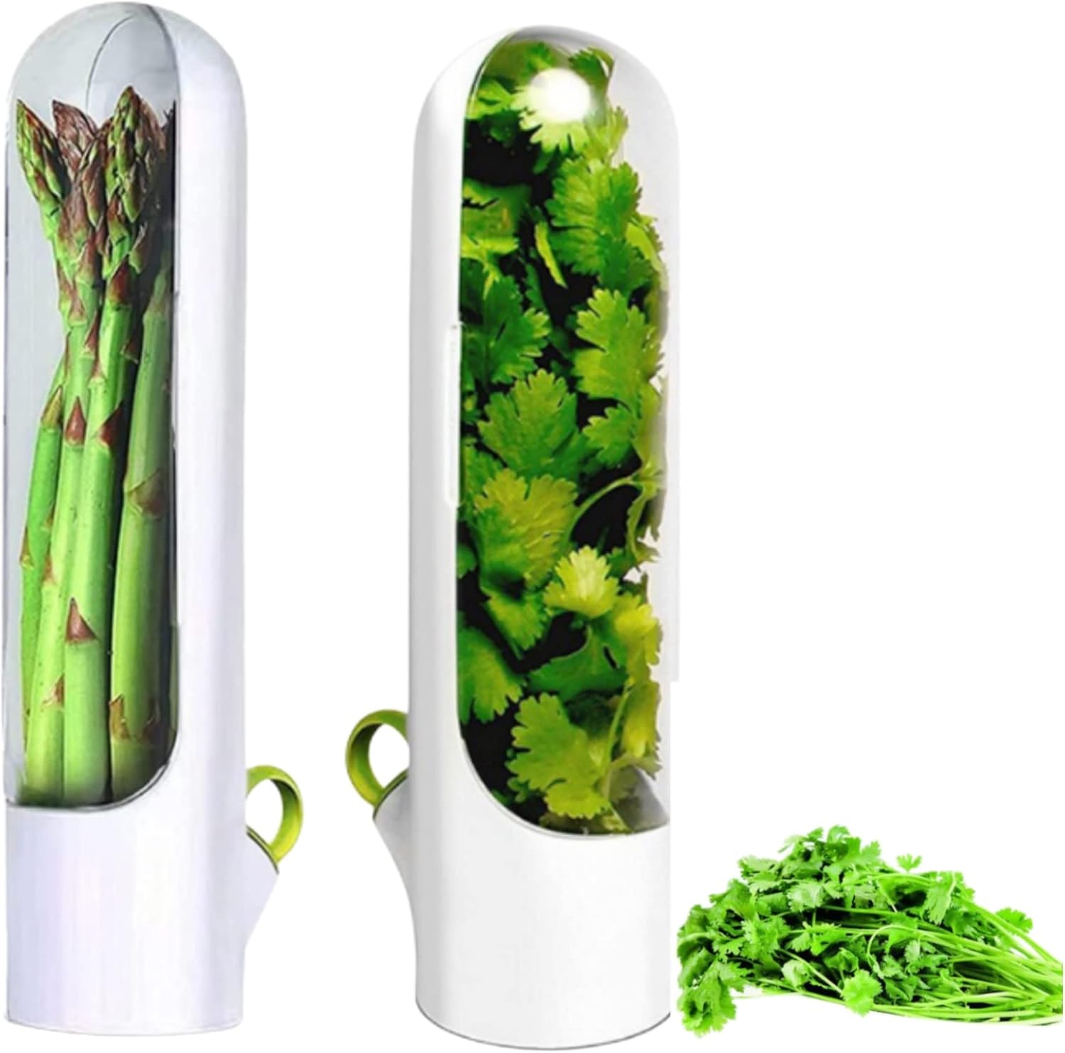 Asparagus Container for Fridge, Asparagus Holder Refrigerator