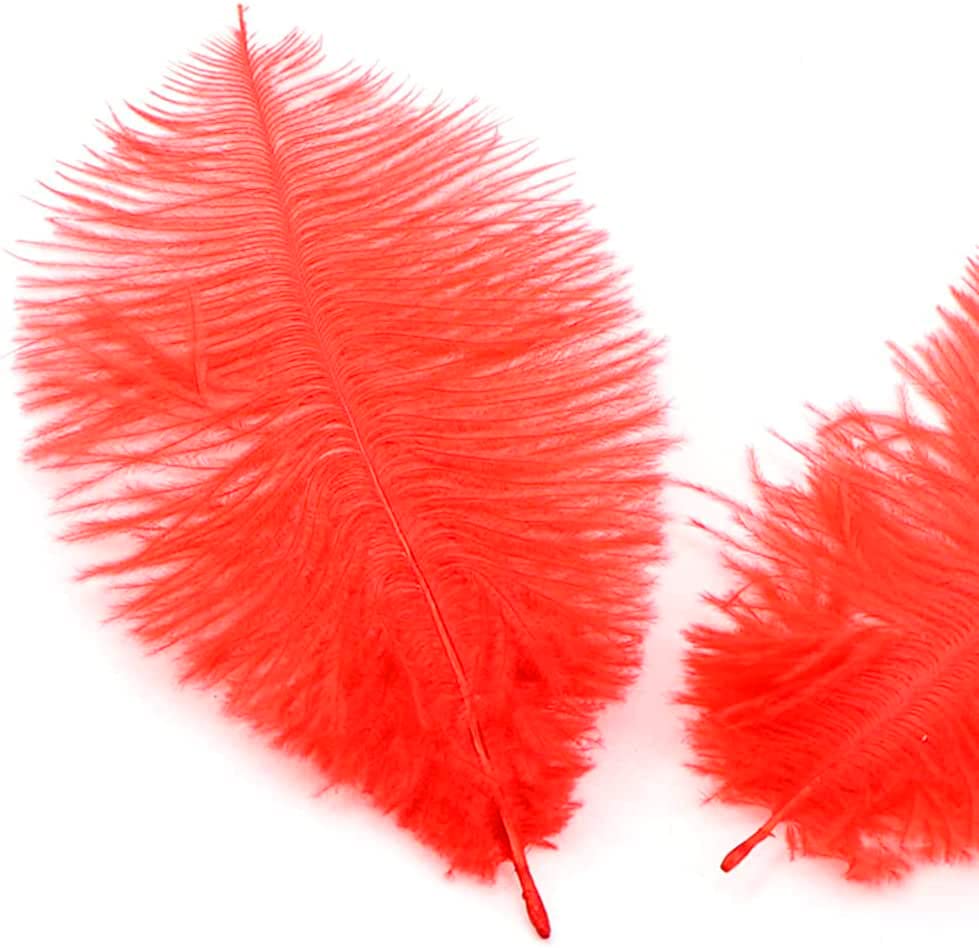 Piume Di Struzzo Naturali Be In Your Mind - 15 Pezzi Colorati 25-30cm | Per Artigianato E Decorazione - Foto 6