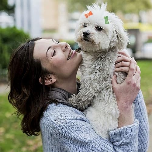 Miniatura 7 de 10 unidsset de pinzas para el pelo de perro lindo en forma de hueso pasadores de pelo para mascotas Multicolor pequeños pinzas para el pelo