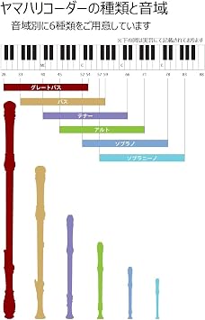 Yamaha ABS Recorder Soprano German Fingering System YRS-301 III