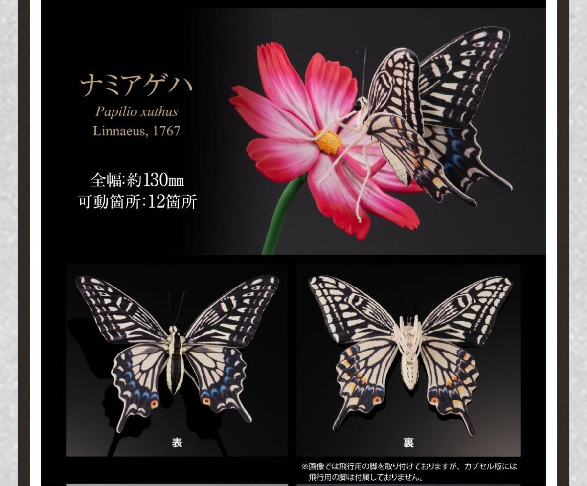 オンライン版 全3種 アゲハチョウ ディスプレイスタンドセット