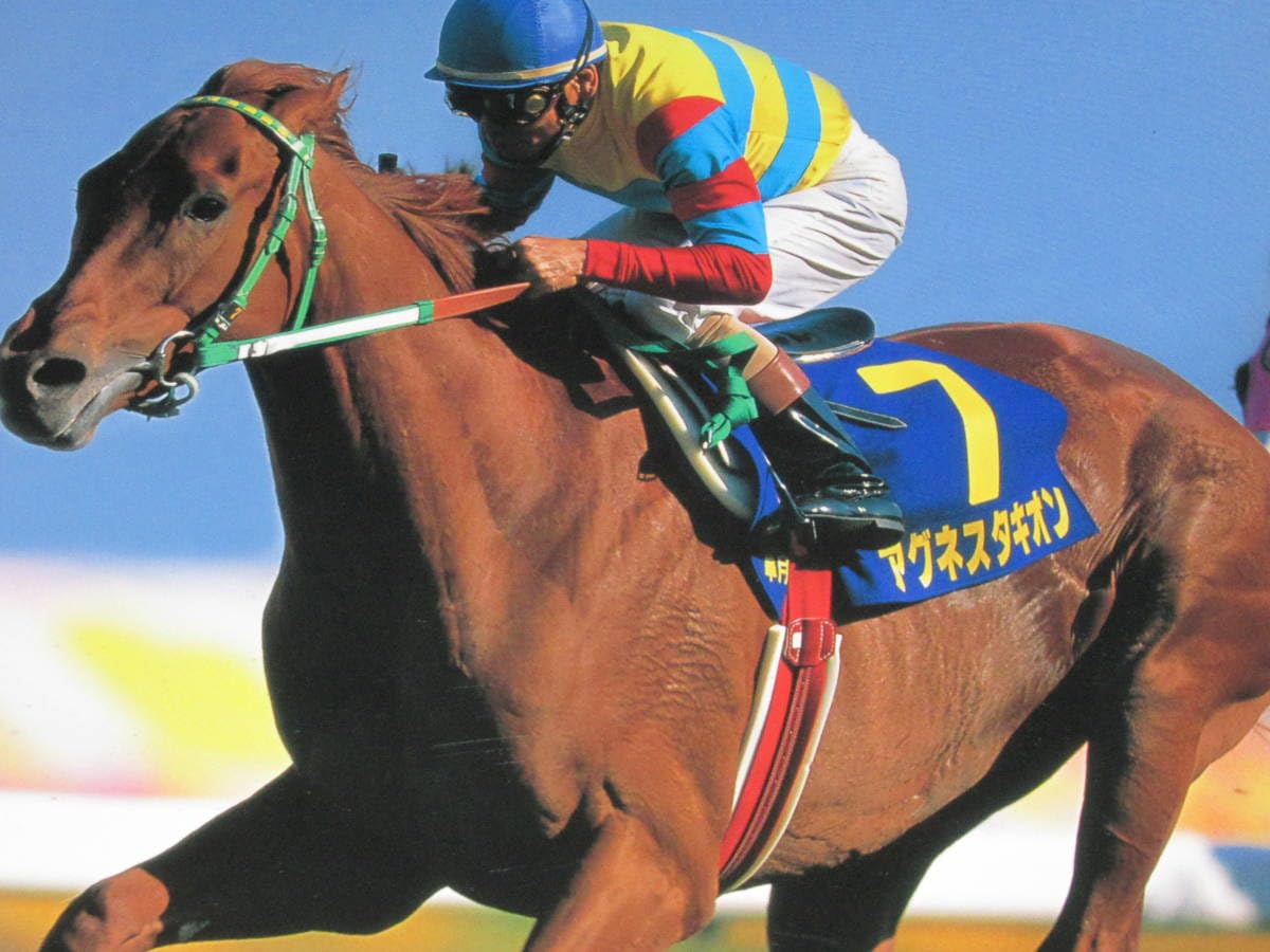 Amazon.co.jp: 種牡馬パンフレット アグネスタキオン カタログ 1998 