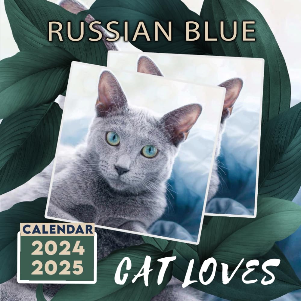 Cat loves Russian Blue Calendar 20242025 24 Month Planner To Keep You