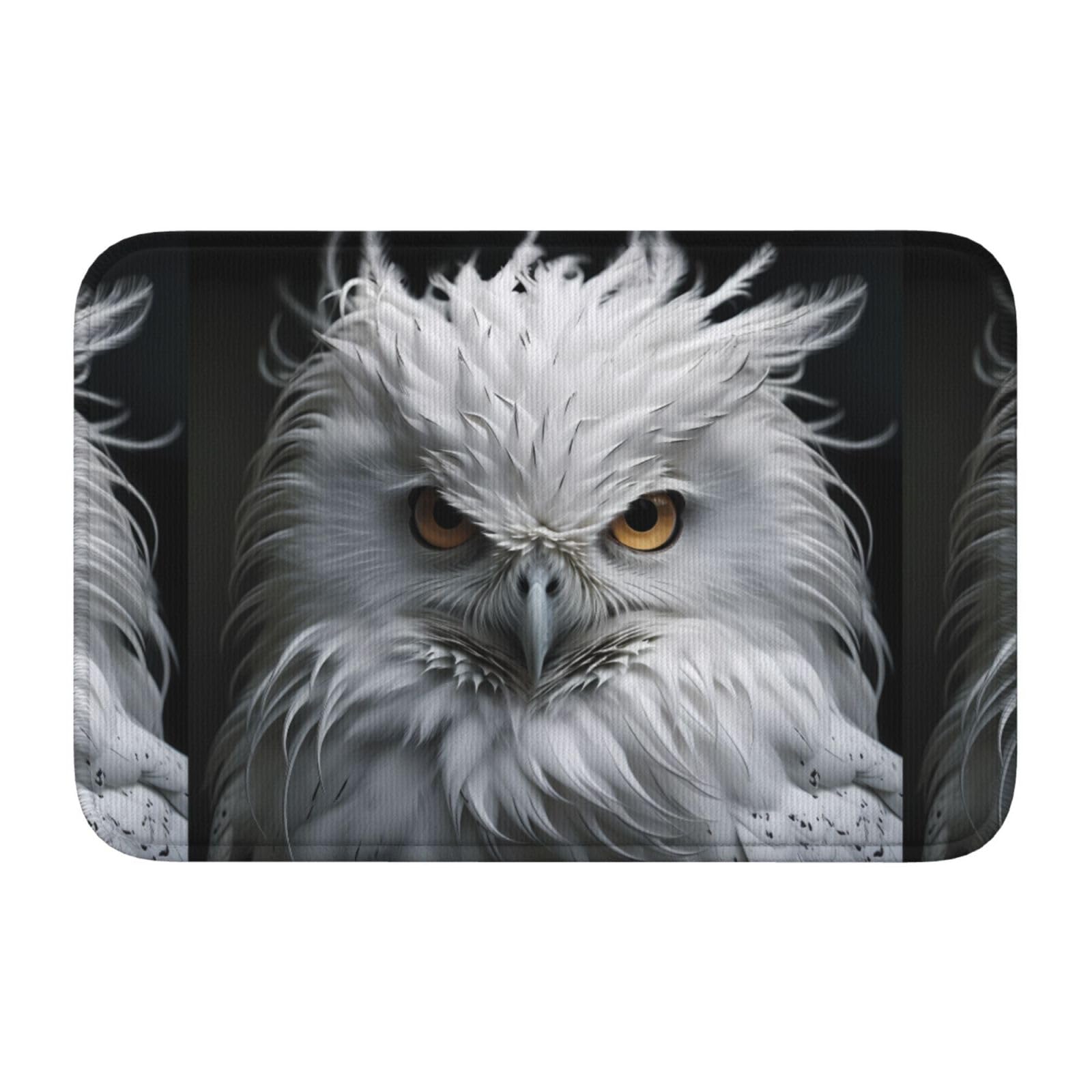Tapis de sol lavable 40x60 antidérapant et résistant JKIEGOQ hibou blanc