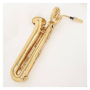 ユーフォニアム バリトン　ゴールド ケース付き Amazon.co.jp: 金管ユーフォニアム ケース付きの高級3ピストン