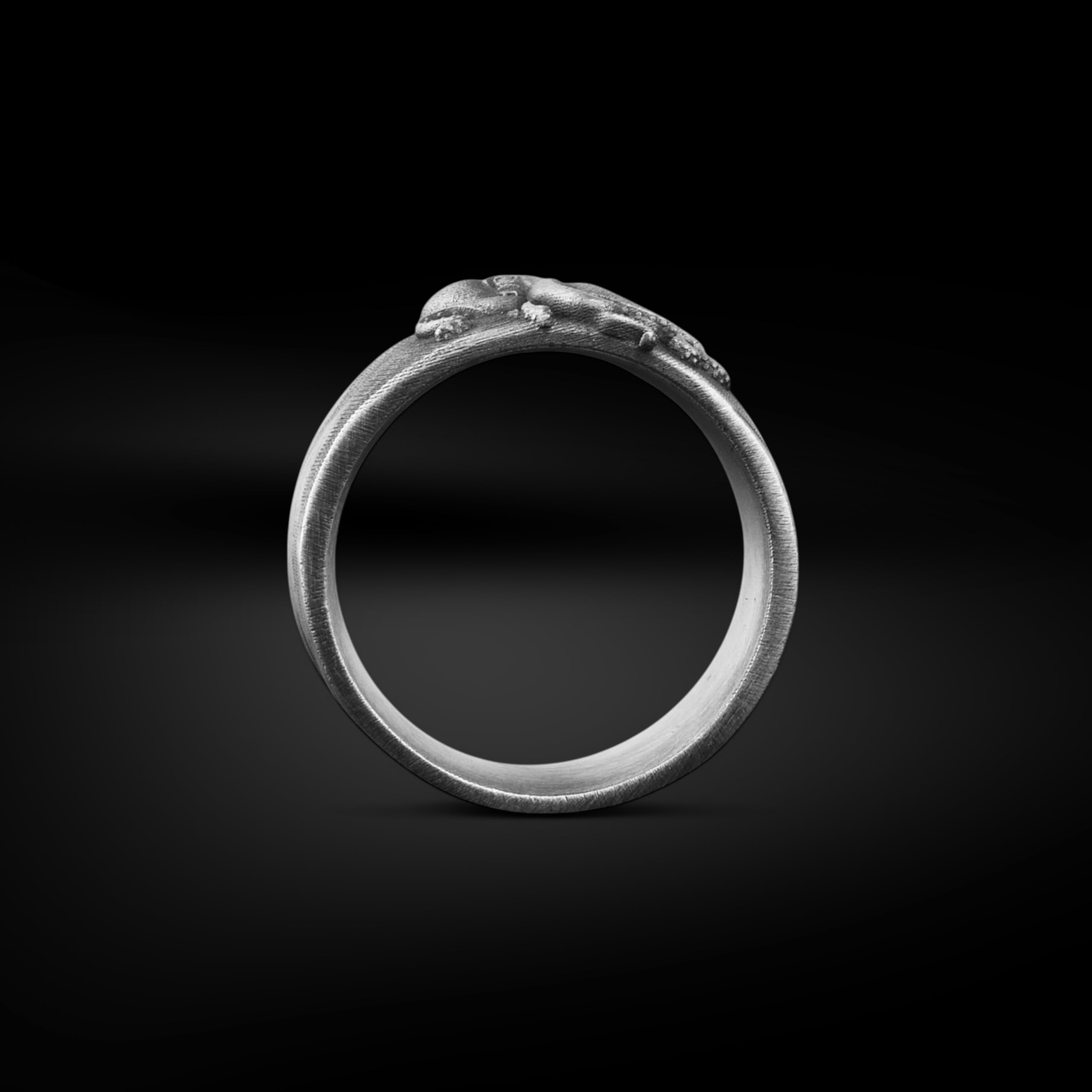BySilverStone - Octopus Herrenring Aus Oxidiertem Silber, Sterlingsilber-Tierring Für Freund, Octopus-Schmuck, Fantasy-Herren-Ehering, Designer-Ring