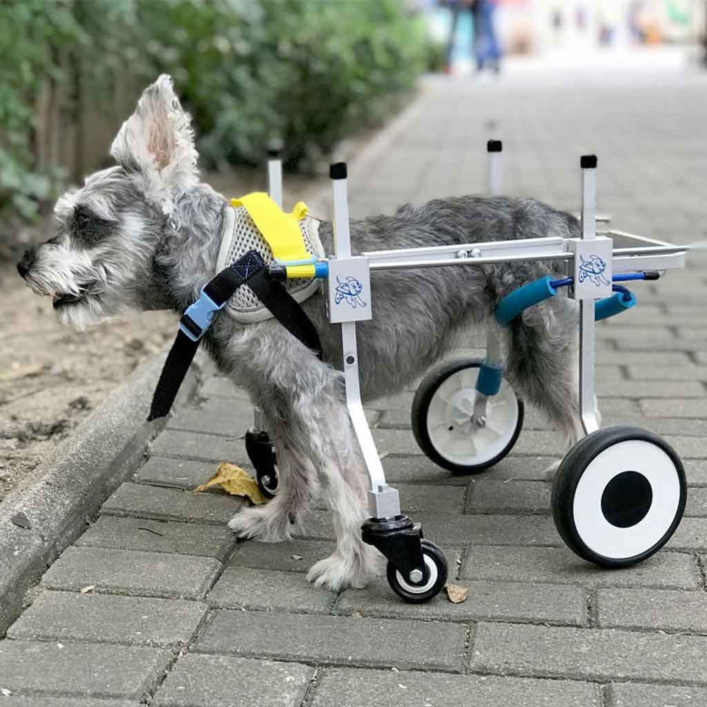 犬用車椅子 犬用歩行器 後ろ足 ペット車椅子 歩行補助 犬用カート 犬用車椅子 犬用歩行器 ペット車椅子 歩行補助 犬用カート