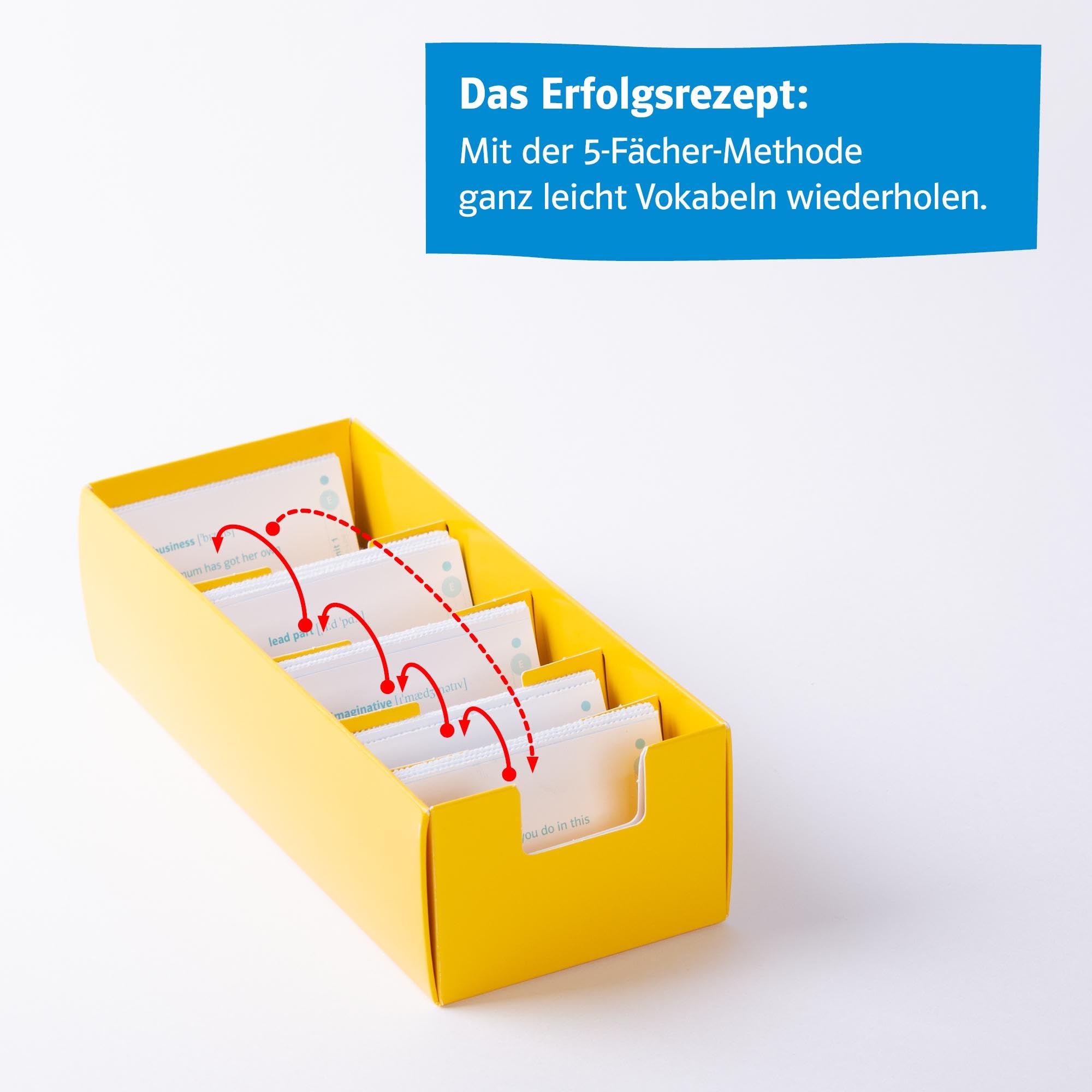 Klett Green Line 3 G8 Klasse 7 - Vokabel-Lernbox zum Schulbuch: Englisch passend zum Lehrwerk üben