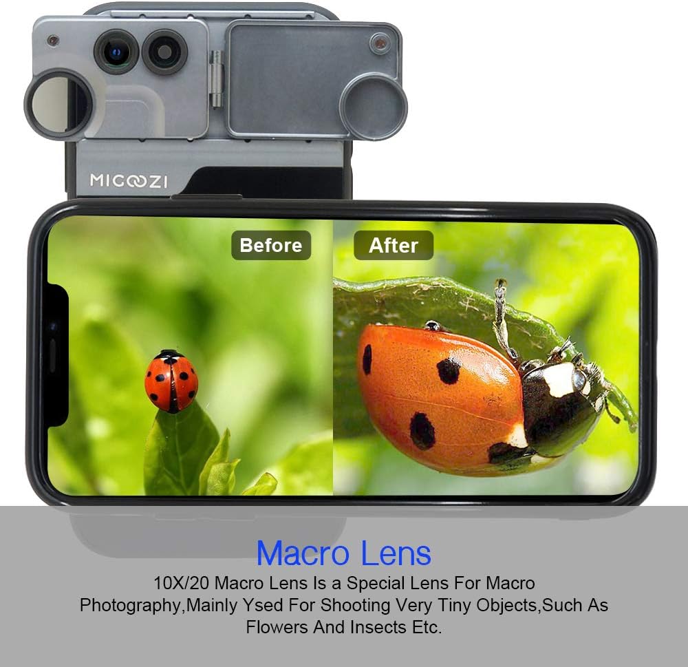 Iphone 11 Macro Photo 2025