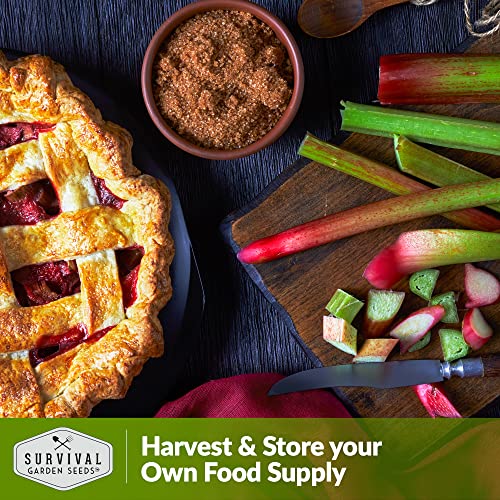 Survival-Garden-Seeds-Victoria-Rhubarb-Seed-for-Planting-Packet-with-Instructions-to-Plant-and-Grow-Delicious-and-Tangy-Red-Stalks-in-Your-Home-Vegetable-Garden-Non-GMO-Heirloom-Variety Survival-Garden-Seeds-Victoria-Rhubarb-Seed-for-Planting-Packet-with-Instructions-to-Plant-and-Grow-Delicious-and-Tangy-Red-Stalks-in-Your-Home-Vegetable-Garden-Non-GMO-Heirloom-Variety