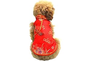 Chinese New Year Dragon Dog Costume