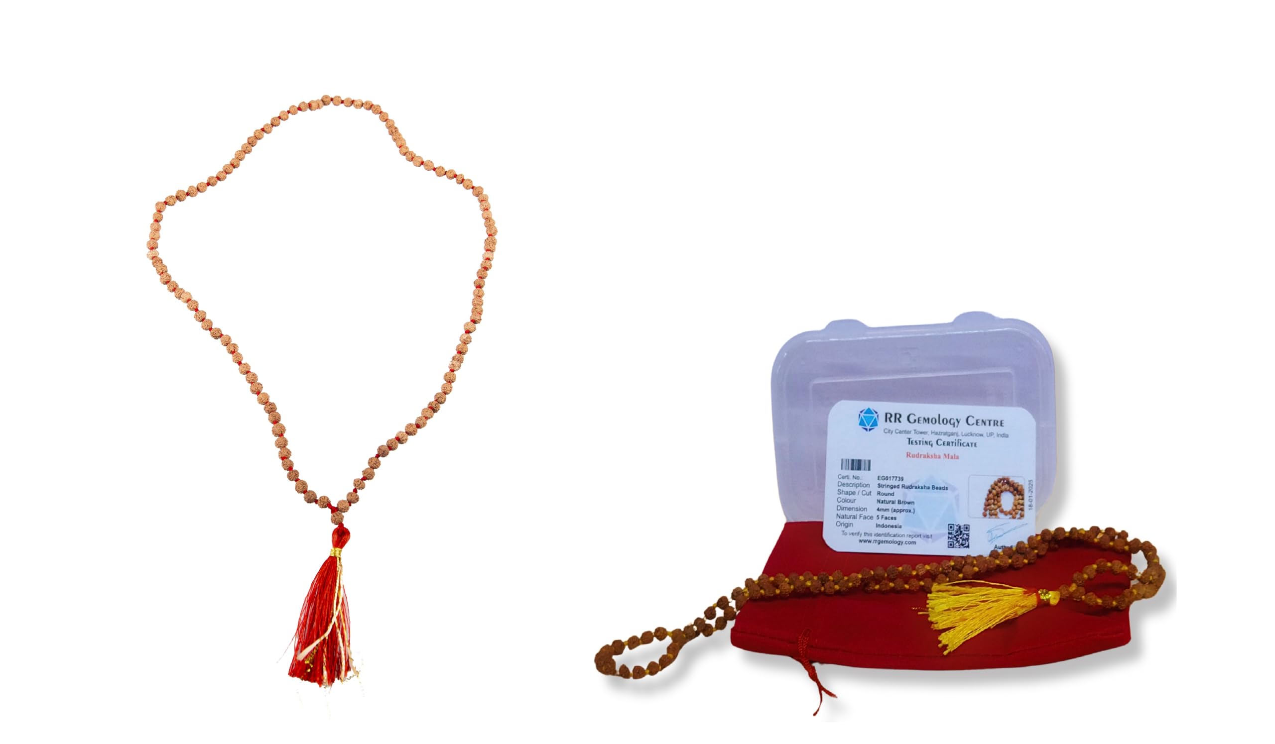 Wonder Care Autentico Rudraksh Mala con Mukhi Bead - Veri semi di Rudraksha himalayano, Ornamento religioso, Rosario Japa Mala Collana - Importato dal Nepal, Unisex