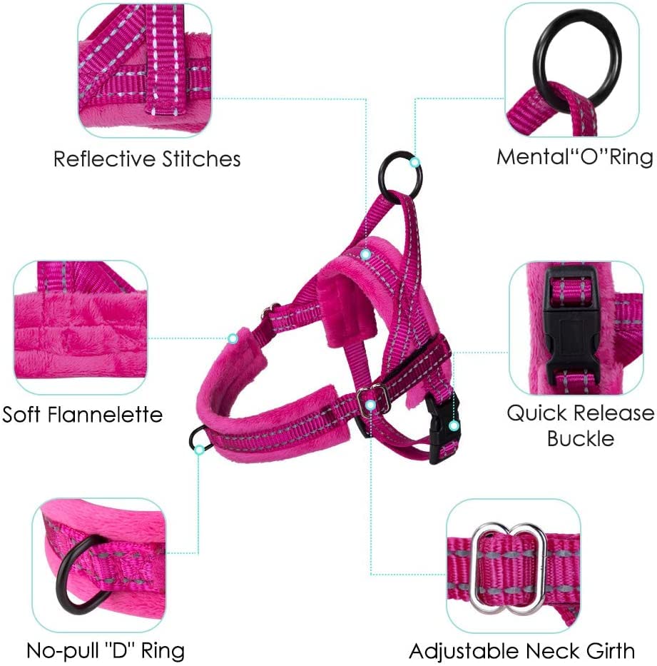 Eyein Small Dog Harness & Lead - Image 4