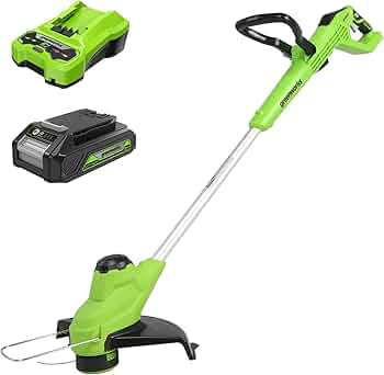 Amazon.com : Greenworks 24V 12