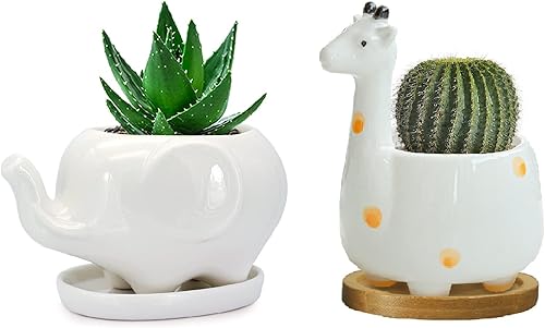 Miniatura 1 de GeLive Paquete de macetas suculentas de elefante y jirafa
