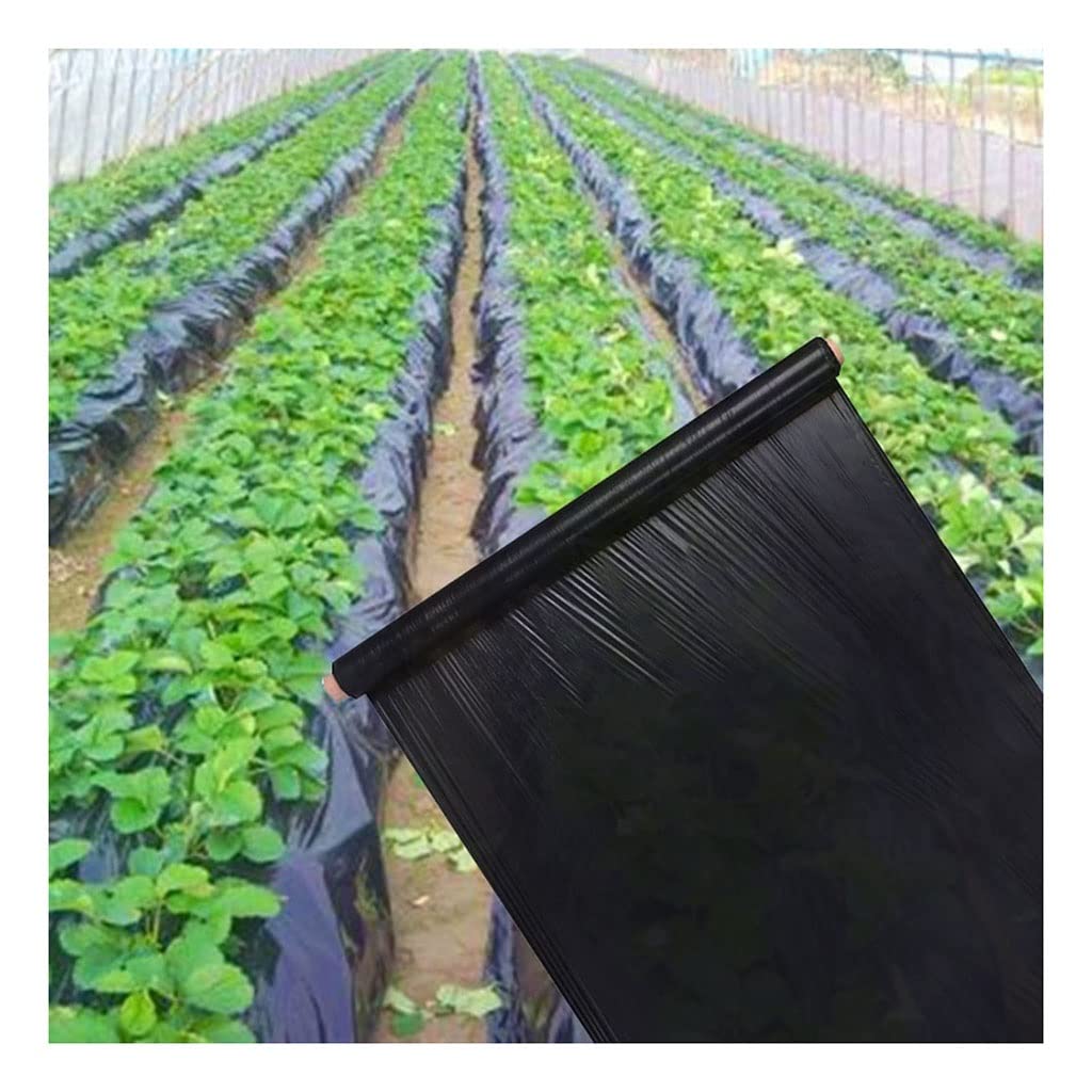 Agricultura, Deshierbe, Mantillo Negro, 0,8 M De Ancho, Espesor De 0,01mm, Invernadero Vegetal, Fresa, Película Plástica Especial, Películas For Cultivo De Plantas, 1 Uds. ( Size : 0.8mx100m(2pcs 50m)
