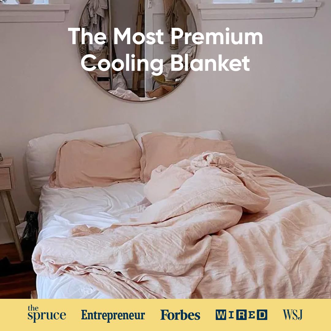 Vesta Silk-Filled Summer Lightweight Comforter, Washable Cooling Blanket for Hot Sleepers, 100% Long Staple Mulberry Silk with 100% Bamboo Shell, Moisture & Thermal Control (Queen, Heavenly Pink)