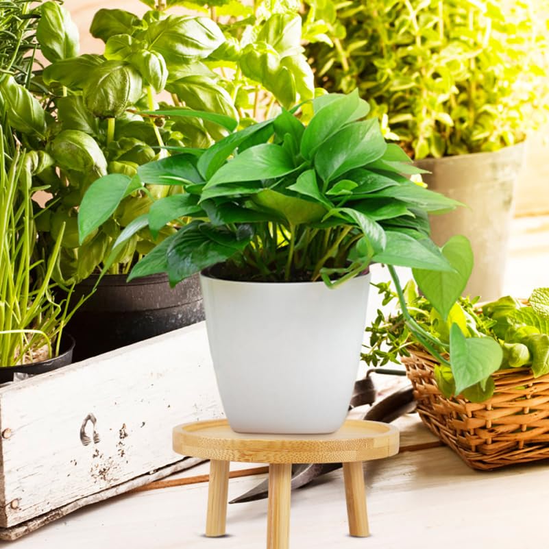Image of balacoo Solid Wood Plant Stand 2 Pack 5.11 inch Flower Pot Stand and Plant Riser for Indoor Use Wooden Holder for Living Room Balcony Desk Window Sill Natural Finish
