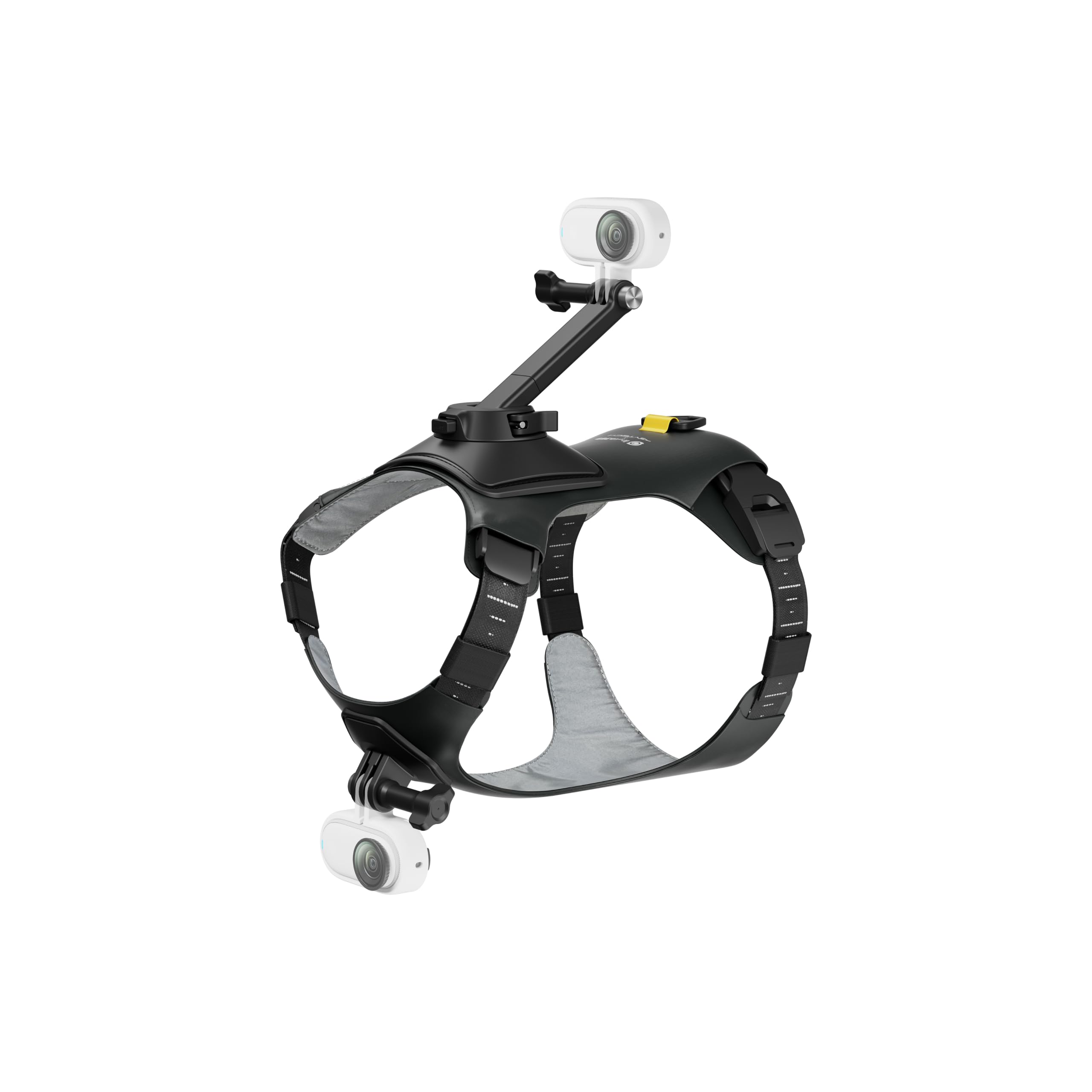 Insta360 GO 3/GO 3S - Soporte de arnés para mascotas, talla M (GO Ultra)