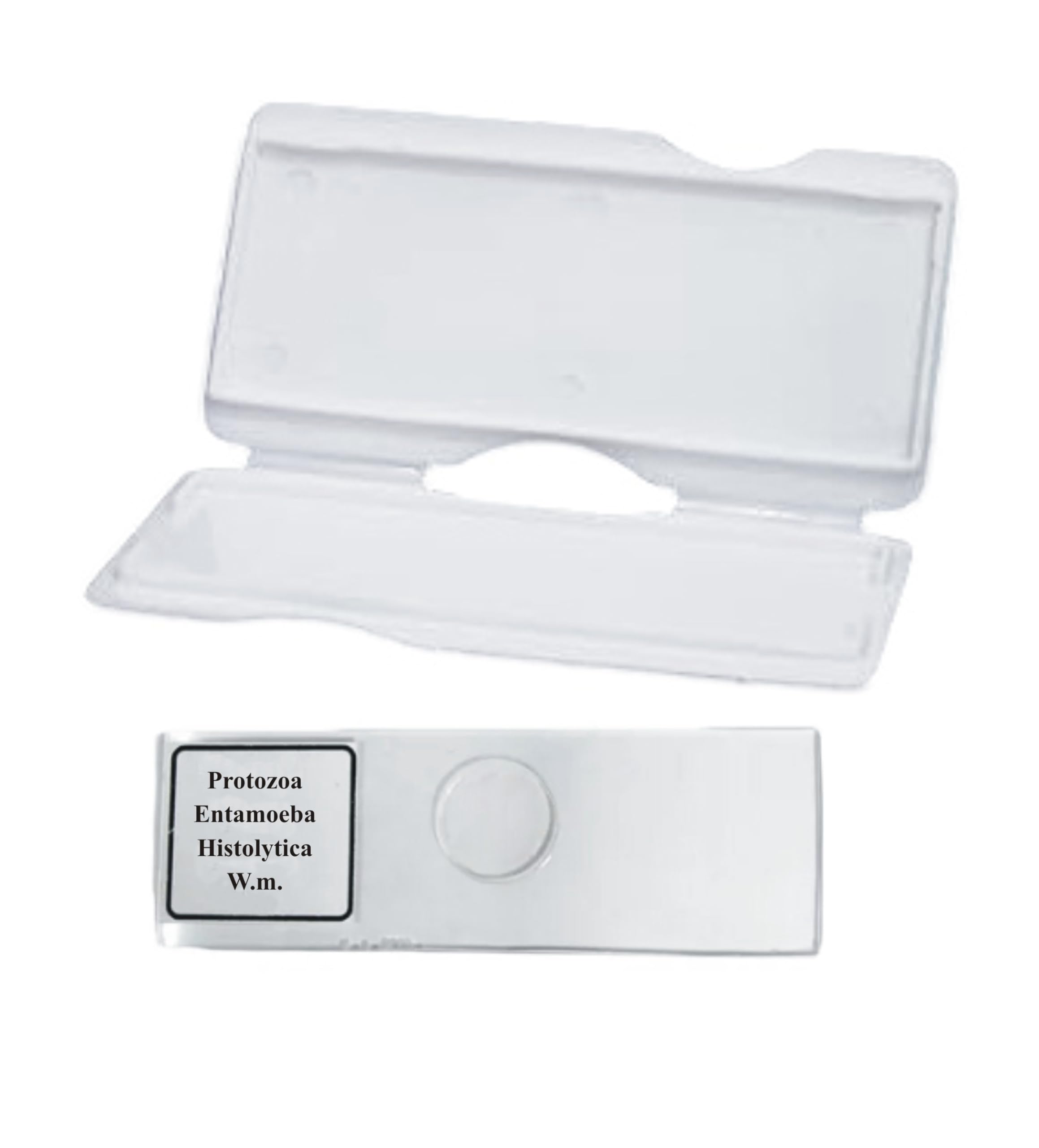 AI-Entamoeba Prepared Slide/for Microscope Slide/Used for Laboratory Microscope/Biology Lab Equipment/Used for Pathology lab/Scientific and Laboratory Product