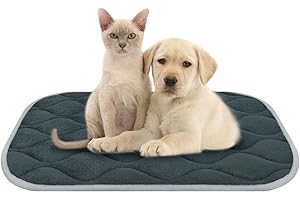 furrybaby Nonslip Car Dog Mat