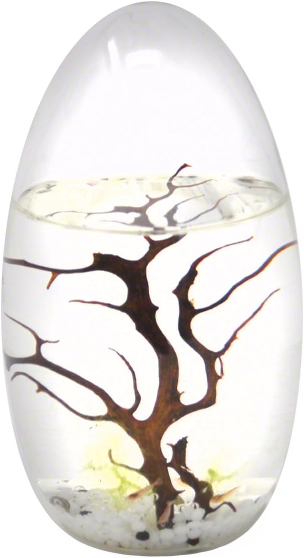 EcoSphere Closed Aquatic Ecosystem, Small Pod, Clear (SP-385)