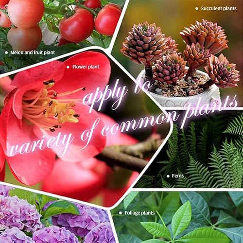 Home Gardening Universal Slow-Release Tablet Organic Fertilizer 22 Pc, Concentrated All-Purpose Fertilizer Ease Plant Food, Bone Meal Fertilizer Organic, Bone Meal Fertilizer (1 Pcs) #TOP6