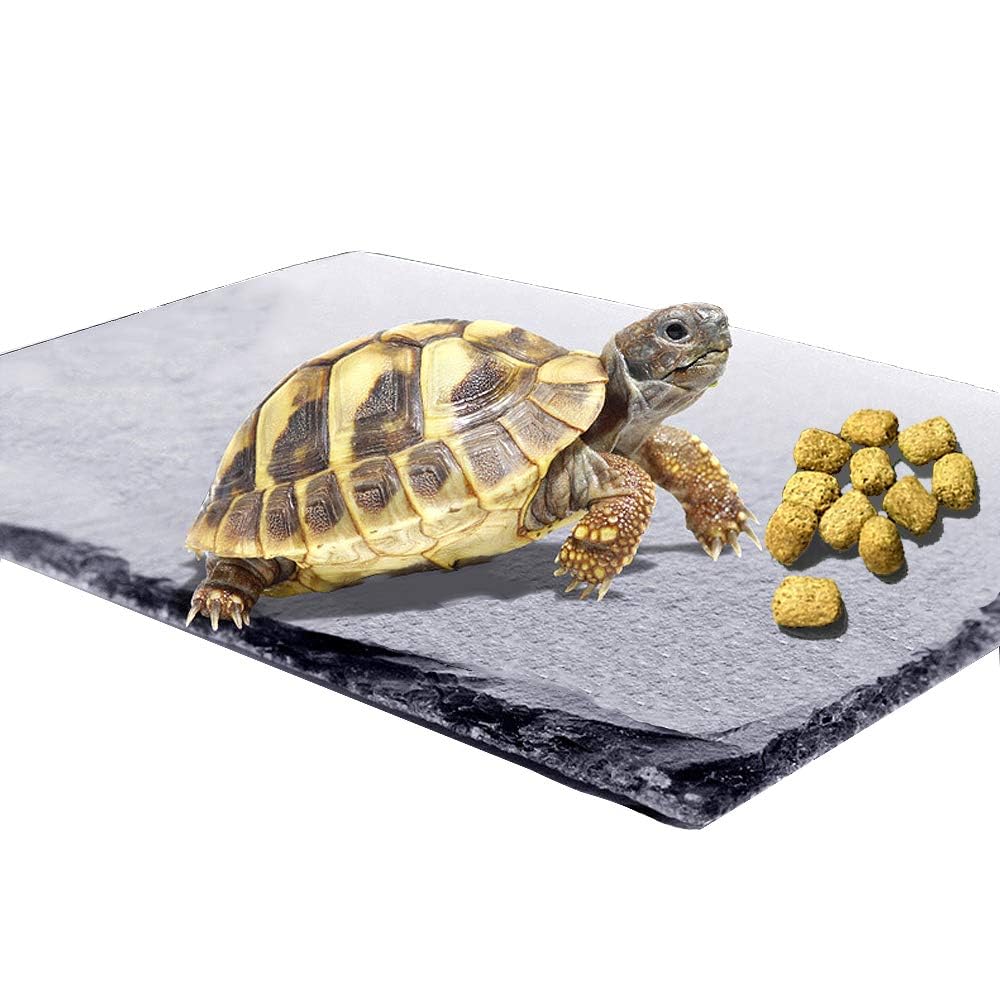 kathson Reptile Basking Platform (7.9 x 11.8 inches), Natural Rock Plate Turtle Food Bowl Feeding Dish Resting Terrace Habitat Decor for Tortoise