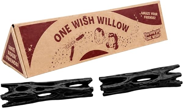 One Wish Willow Stick with Box 3D Printed Breakable Magic Lucky Charm, Wishing Willow Snap Stick for Spiritual Healing, Good Fortune, Wedding Favors & Birthday Gifts