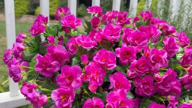 Amazon.com: HyeFlora Artificial Faux Outdoor Flowers Plants for